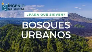 BOSQUES URBANOS | &iquest;Qu&eacute; son? | &iquest;C&oacute;mo funcionan? | &iquest;Para qu&eacute; sirven?
