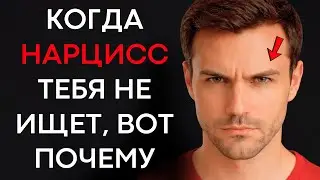 Когда Нарцисс Не Ищет Тебя, Это Признак Чего-То Более Серьёзного