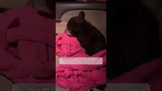 This Baby Bear Lost Its Mom #help #animals #wildlife #love #bear #baby