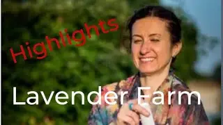 Highlights of Lavender Retreat