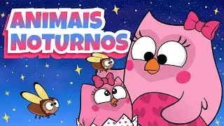 A Floresta de Noite 🌌 Episódio Completo | Desenho Animado Infantil Educativo |