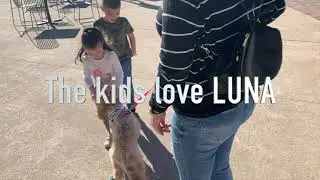 Christmas Capital of Texas with Mini Goldendoodle Main Street in Grapevine Texas