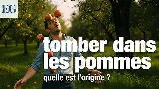 Quelle est l&rsquo;&eacute;trange origine de 