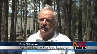 Four Forest Restoration Initiative  Takes Action in Northern Arizona Forests