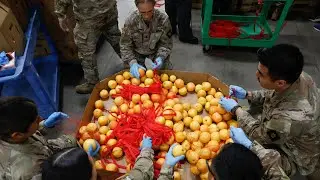 Neighbors In Uniform - Cal Guard Service Members Help Food Banks