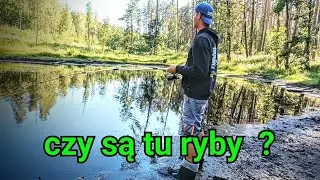 Co złowie na tajemniczym stawię w lesie #fishing