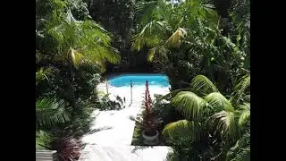 Tropical resort style garden paradise in Grey Lynn
