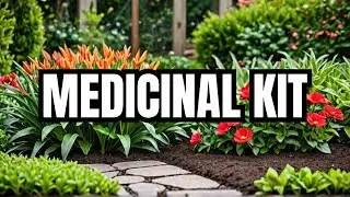The Medicinal Garden Kit Review 2025 ✍️ Is It Legit or a Scam?