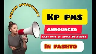 Kp pms announced / establishment department and excise and taxation /pms 2025
