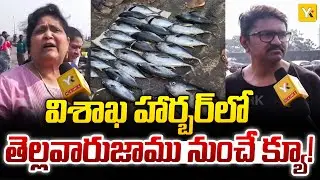 పండుగ పూట సామాన్యుడికి చుక్కలు.. సీ ఫుడ్ వైపు మొగ్గు చూపుతున్న జనం..| Seafood Demand | #yktv