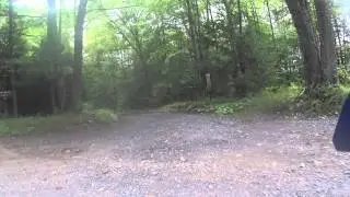 Near Cross Fork PA