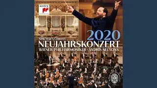 Im Fluge, Polka schnell, Op. 230