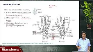 Finger theory #swayamprabha #ch17sp