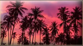 Relaxing OCEAN SOUNDS to alleviate stress, sleep, meditate and anxiety relief Calming Nature Waves