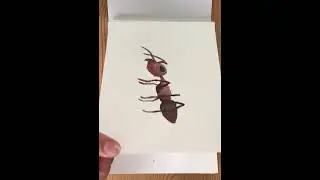 Skizzenblock Aquarell