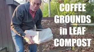 Coffee Grounds in Leaf Compost