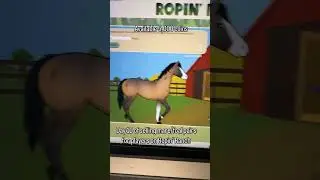 Ropin&rsquo; Ranch Online Web Game - RopinRanch.com#horses #ropinranch #webgame