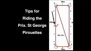 The Secret to Riding the Pirouettes in the Prix St. George