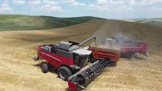 Massey Ferguson - Beta 7370