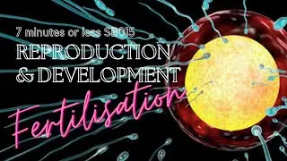 REPRODUCTION AND DEV Fertilisation SB015