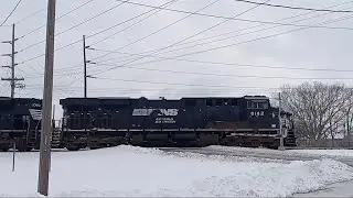 NS 171 makes an emergency stop, + Bonus trains. 