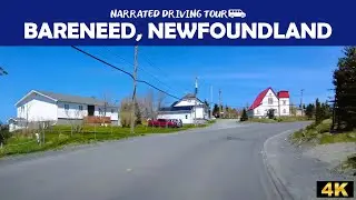 🚗 Bareneed, Newfoundland and Labrador 🌊🍁4K Drive