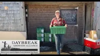 The Journey of a Daybreak Farm Box
