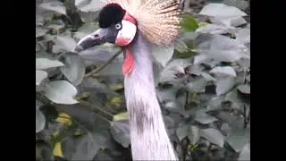 大牟田市動物園 (1997.12.28)