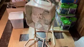 Berns Fan Mobile rollabout fan