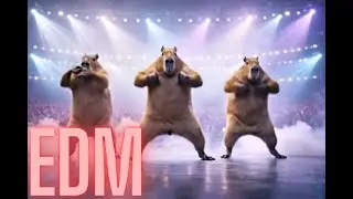 Capybara in Control &ndash; Современный EDM хип-хоп танцевальный ритм 🎶🦫