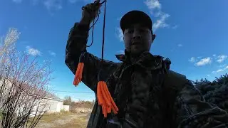 Deer hunting scent drag video