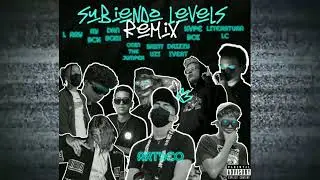 SUBIENDO LEVELS RMX - ARTYCO FT. Ry Bck, Saint Uzi, Literatura Lc, IVRT, OD&iacute;N,Kvpeboi,Danboix, L'Ray