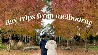 Day Trips from Melbourne Vlog: Kabloom Flower Festival, Macedon Autumn Festival, Lake Daylesford