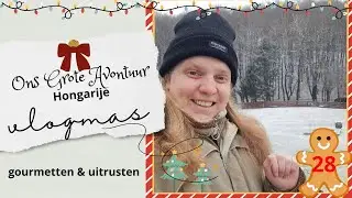Witte Kerst | wonen in Hongarije | Vlogmas {25} #28
