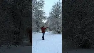 A magical feeling walking in a white snow-capped landscape #winter #landscape #scenery #shorts