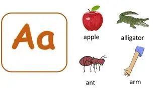 1 group S A T P I N