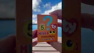 Mini Boo for Squishy Boo #beanieboos #shorts #cute #toys #fun #squishysfamilyfun #asmr