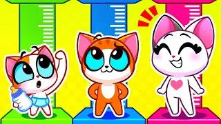 Health Checkup Day | Kids Stories About Health | Useful Stories | Healthy Habits | Toony Friends TV
