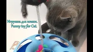 Игрушка для кошки. Funny toy for Cat. Banggood