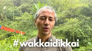 Wakkai Dikkai: An Introduction To Our Campaign