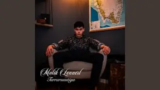 Naggataamik