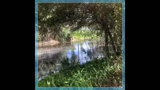 WATERFRONT LAND LISTING! $30,000 1344 Inverness St. Port Charlotte, FL