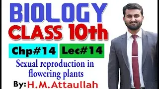 Sexual reproduction in flowering plants  | Chapter # 14 | Biology Class 10th | Lec.14
