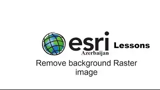 ArcGIS 10.2.2- Remove Background value of Raster image