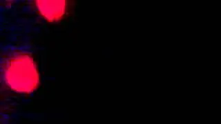 لعب بني معين وقيس وغمر .. إهداء إلى فهد المعيني !!