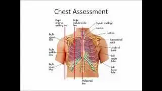 EMS Training | Chest Landmarks