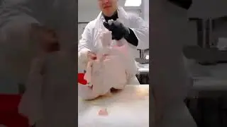 Teaching you haw to cut a whole turkey in parts #the_butcher05 #turkey #happythanksgiving