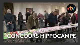 Festival BD Angoulême 2025. Le concours Hippocampe