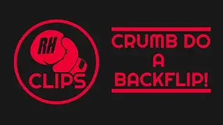 Crumb Did a Backflip then Died (Roughhouse SMP Clip)