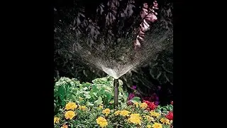 How to change a shrub head to a sprinkler head